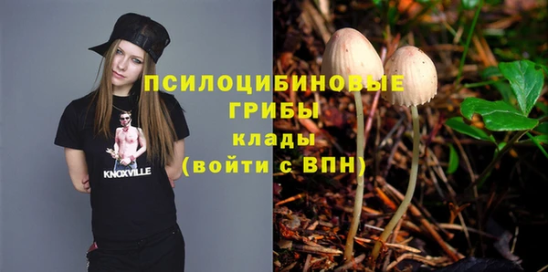 хмурый Новодвинск