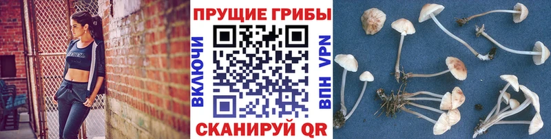 гидра ТОР  Беломорск  Галлюциногенные грибы Psilocybine cubensis 