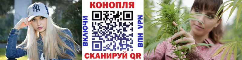Каннабис SATIVA & INDICA  Беломорск 