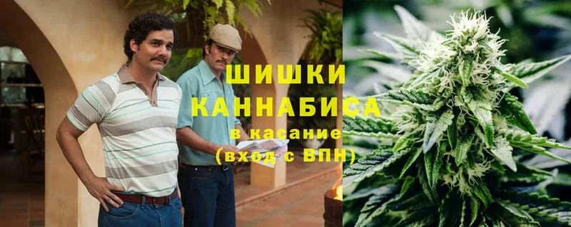 kraken   Беломорск  Бошки Шишки OG Kush 